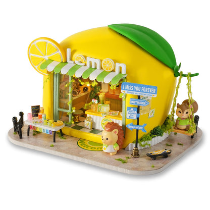 DIY Miniature House Kit with Furniture, Opened & Closed Mini Dollhouse