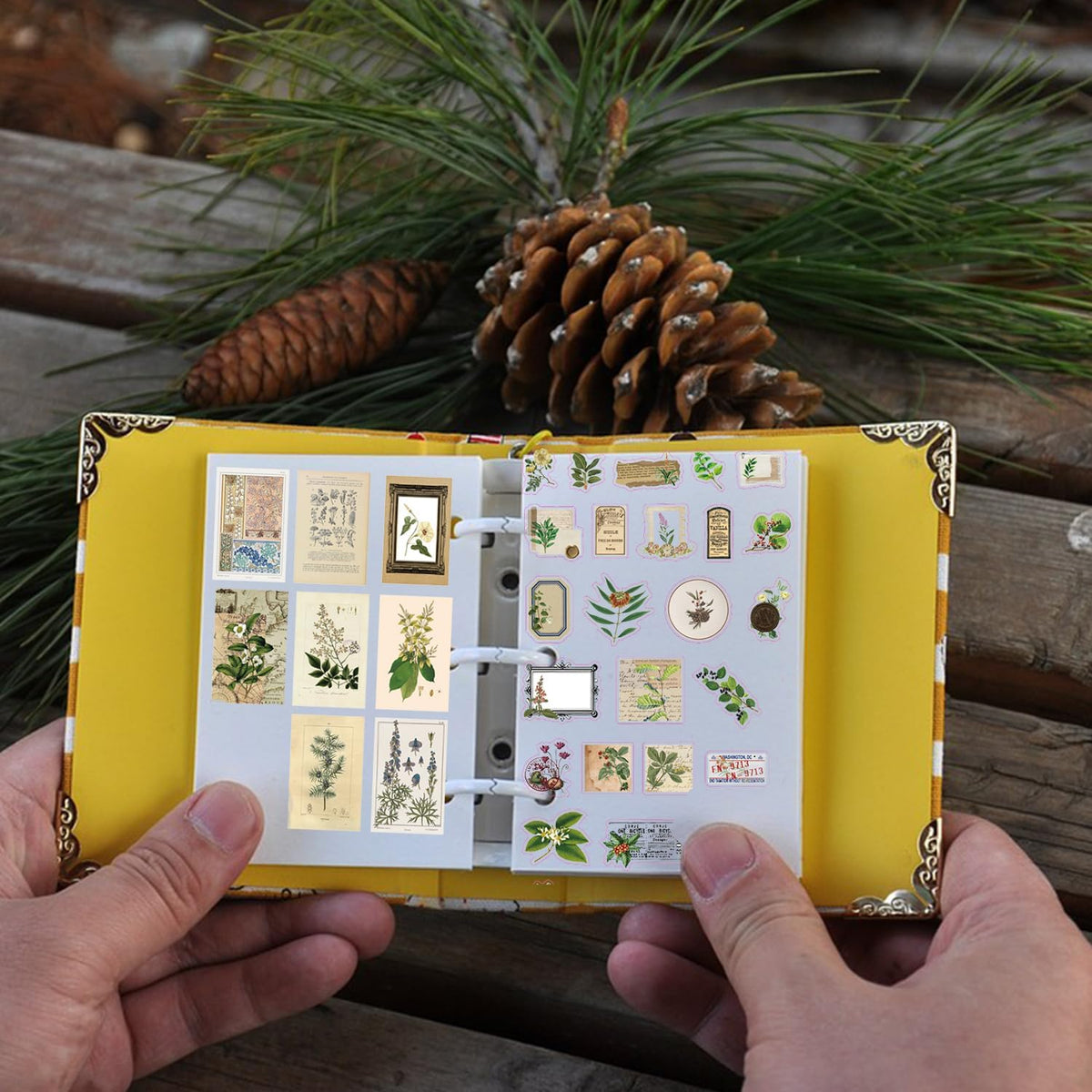 60PCS Vintage Green Forest Junk Journal Supplies Kit, Botanical Collage Paper & Stickers Set Craft Paper, Sulphate Paper, for Scrapbooking, Journaling, Planner.